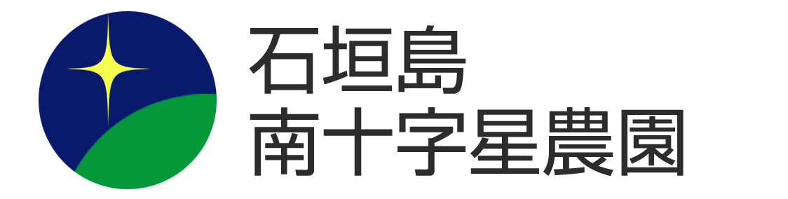 石垣島南十字星ロゴ